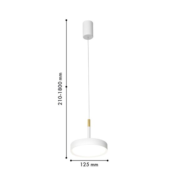 Favourite 4505-1P, подвес, D125xH210/1800, LEDx10W, 650LM, 4000K, CRI>90, included, dimmer, изображение 2