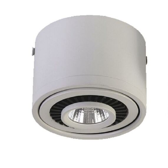 Favourite 1775-1C, потолочный светильник, D87xH60, 1xLEDx7W, AC:100-240V, 560LM, RA>80, IP21, 560LM, 4000K, included, изображение 3