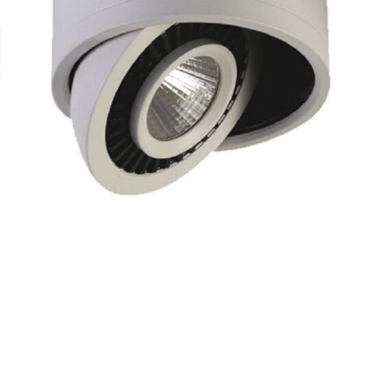 Favourite 1775-1C, потолочный светильник, D87xH60, 1xLEDx7W, AC:100-240V, 560LM, RA>80, IP21, 560LM, 4000K, included, изображение 4