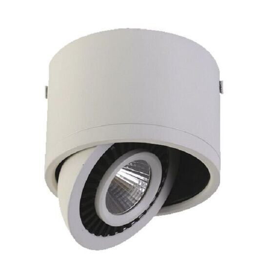 Favourite 1776-1C, потолочный светильник, D112xH85, 1xLEDx12W, AC:100-240V, 960LM, RA>80, IP21, 960LM, 4000K, included, изображение 2