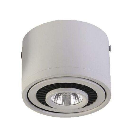Favourite 1776-1C, потолочный светильник, D112xH85, 1xLEDx12W, AC:100-240V, 960LM, RA>80, IP21, 960LM, 4000K, included, изображение 3