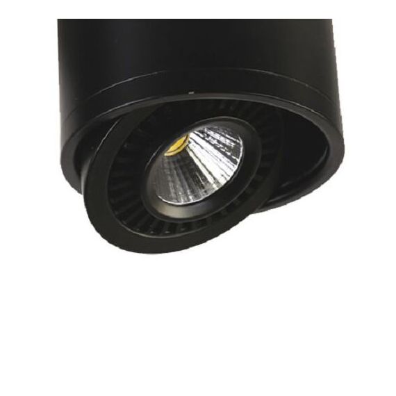 Favourite 1779-1C, потолочный светильник, D112xH85, 1xLEDx12W, AC:100-240V, 960LM, RA>80, IP21, 960LM, 4000K, included, изображение 4