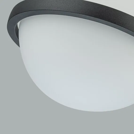 Favourite 4502-1P, подвес, D225xH190/1200, LEDx20W, 1200LM, 3000K, included, изображение 4