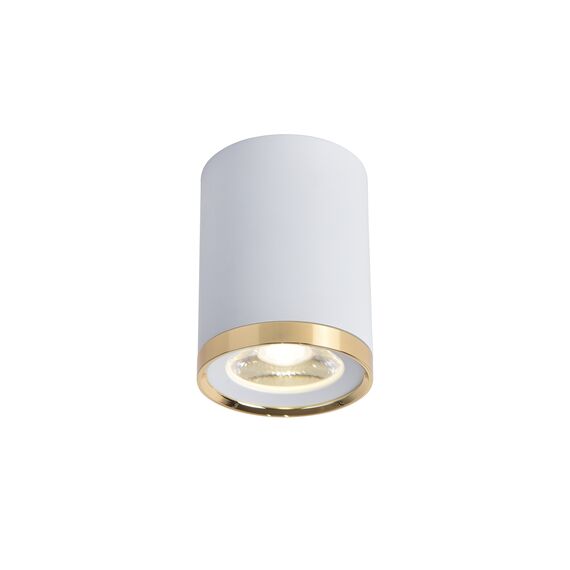 Favourite 3085-1C, потолочный светильник, D68xH91, LEDx6W, 500LM, 4000K, IP20, included