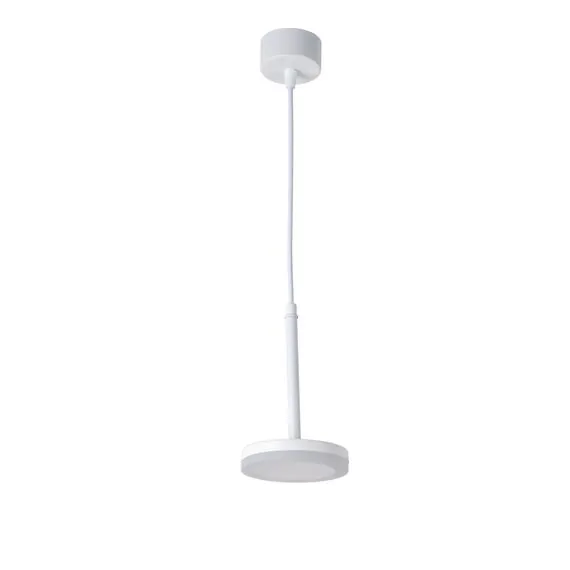 Favourite 3078-1P, подвес, D110xH1200, LEDx6W, 350LM, 4000K, IP20, included, изображение 2