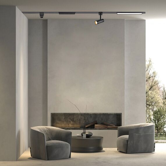 Favourite 4225-1P, подвес, D20xH2000, LEDx12W, 42V, 1000LM, 3000-6000K, IP20, included, изображение 5