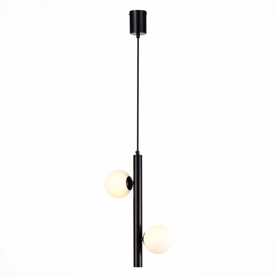 ST LUCE SL1185.403.02 Подвес ST-Luce Черный/Белый G9 2*5W