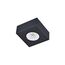 Donolux DL18812/7W Black SQ Накладной светодиодный светильник, 7Вт