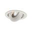 Donolux DL18412/01TR White Встраиваемый поворотный светильник под сменную лампу