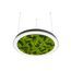 Donolux DL800S72WW Moss Black Подвесной светодиодный светильник, 72Ватт, D-800мм.