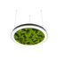 Donolux DL800S72NW Moss Black Подвесной светодиодный светильник, 72Ватт, D-800мм., изображение 3