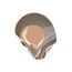 Kink Light 08052,37 Бра Эмина французское золото d25 h20 Led 8W (3000K)