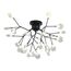 Kink Light 07521-27,19(21) Светильник Ветта черный (прозрачные плафоны) d70 h55 G4 27*2W (Led лампы в комплекте, 4000K)