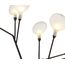 Kink Light 07521-9,19(21) Настенный светильник Ветта черный (прозрачные плафоны) d42 h38 G4 9*2W (Led лампы в комплекте, 4000K), изображение 2