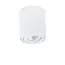 Donolux DL18613R1W Накладной светодиодный светильник, GU10, D80хH90 мм, IP20, белый, без лампы, изображение 2