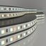 Elektrostandard a053674 5050 24V 60Led 10W IP20 Лента светодиодная 60LED 10W IP20 MIX 3300/6500 теплый белыйхолодный белый