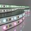 Elektrostandard a053707 5050+2835+2835 90Led 16W IP20 RGBWW Лента светодиодная 90Led 16W IP20 MIX RGB 3300/6500 теплый белыйхолодный белый, изображение 2