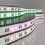 Elektrostandard a053702 5050 24V 60Led 24W IP20 RGBW Лента светодиодная 60Led 24W IP20 RGB 4200K дневной белый