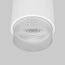 Elektrostandard a062387 Светильник потолочный светодиодный Cors 10W (25032/LED) белый Серебро, изображение 2
