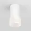 Elektrostandard a057157 35139/H Светильник садово-парковый со светодиодами Light LED 2106 белый