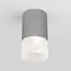 Elektrostandard a057158 35139/H Светильник садово-парковый со светодиодами Light LED 2106 серый