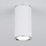 Elektrostandard a043967 DLN101 GU10 Светильник накладной WH белый