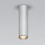 Elektrostandard a061535 Pika 6W (25031/LED)Светильник накладной серебро