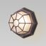 Elektrostandard a043661 GL 1023D Светильник садово-парковый Telarana S капучино (GL 1023D)