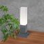 Elektrostandard a052859 1536 TECHNO LED Светильник садово-парковый со светодиодами серый, изображение 5