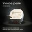 Elektrostandard a059230 76005/00 Реле Умный дом 4 канала 2500W, изображение 4