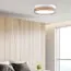 TK Lighting a065020 6578 Потолочный светильник Linobianco, изображение 3