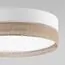 TK Lighting a065020 6578 Потолочный светильник Linobianco, изображение 2