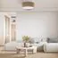 TK Lighting a059938 6584 Потолочный светильник Juta, изображение 2