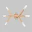 TK Lighting a068766 4525 Настенный светильник Noble, изображение 3