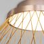 Eurosvet a069291 40019/1 LED Потолочный светильник коричневый, изображение 3