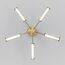 Eurosvet a067956 50386/5 LED Потолочный светильник латунь, изображение 3