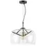 Lightstar 752010 Люстра ACQUARIO 1х40W E27 ЧЕРН МАТОВ/ЗОЛОТО стекло