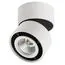 Lightstar 214816 Светильник FORTE MURO LED 15W 1400LM 30G БЕЛЫЙ 4000K