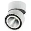 Lightstar 213830 Светильник FORTE MURO LED 26W 1950LM 30G БЕЛЫЙ 3000K