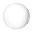 Lightstar 803010 Настенно-потолочный светильник GLOBO 1х40W G9 БЕЛЫЙ/СЛОНОВАЯ КОСТЬ