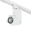 Lightstar A1T051056 Светильник ILLUMO HP16 БЕЛЫЙ (592016+051056)