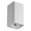 Lightstar 052136-IP65 Светильник MONOCCO LED10W 600LM 30G БЕЛЫЙ 4000K