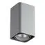 Lightstar 052339-IP65 Светильник MONOCCO LED10W 600LM 30G СЕРЫЙ 3000K