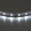 Lightstar 400004 Лента 3528LED 12V 4.8W/m 60LED/m 3-4Lm/LED IP20 4200K-4500K 200m/box НЕЙТРАЛЬНЫЙ БЕЛЫЙ СВЕТ