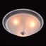 MW-Light 450013403 Потолочный светильник, изображение 2