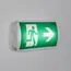 Arlight 046151 Аварийная панель EMG-PROOF-3h-4,5W (Пикт, направления, IP65) (Arlight, Пластик, 3 года) 046151, изображение 3