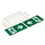 Arlight 045655 Аварийная панель EMG-VECTOR-3h-1,5W (Пикт, Влево/Вправо, IP20) (Arlight, Пластик, 3 года) 045655, изображение 3