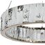 Stilfort 4015/03/06P Подвесной светодиодный светильник Cerruti, изображение 2