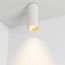 Arlight 027505 Светильник SP-POLO-SURFACE-R65-8W Day4000 (WH-GD, 40 deg) (Arlight, IP20 Металл, 5 лет) 027505, изображение 4