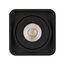 Arlight 036053 Светильник SP-CUBUS-S100x100-8W Day4000 (BK, 45 deg, 230V) (Arlight, IP20 Металл, 3 года) 036053, изображение 4